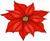 7.5" Poinsettia - Red, White or Pink color choice
