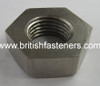 BSF 5/16" - 22 Thin Nut Stainless  (7130)