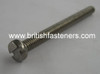 2BA Stainless Steel Cheesehead x 2" - (6591)