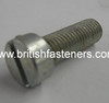 BSF CHEESEHEAD SCREW 5/16" - 22 x 1" - (6601)