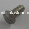 3BA x 3/4" STAINLESS RAISED C/SUNK SCREW - (6618)