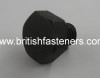 BSC/BSF HEX SET SCREW 1/4 - 26 x 5/16" - (1005)