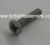 2BA x 7/8" Pozidrive Raised Countersunk   (2818)