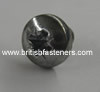 2 UNC x 3/8" POZIDRIVE PAN HEAD S/S (6617)