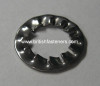 M10 STAINLESS SHAKEPROOF WASHER - (6243)