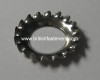 M6 C/SUNK STAINLESS SHAKEPROOF WASHER - (6247)