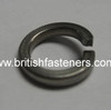 Stainless Single Spring Washer 6BA - (6281)