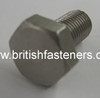 Stainless Screw BSC Hex 5/16 x 5/8" - (6420)