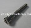 BSW 1/4" - 20 x 3/4" STAINLESS CHEESEHEAD SCREW - (6883)