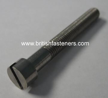 BSW 1/4" - 20 x 1/2" STAINLESS CHEESEHEAD SCREW - (6894)