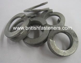 WASHER (QTY 10) SPRING DOUBLE 5/16" - (6060)