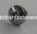 2BA x 1/4" Pozidrive Panhead   (2815)