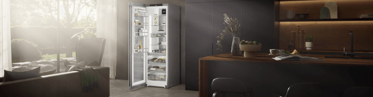 Freestanding Fridges