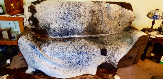 Tri Colored Cowhide 3