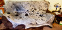 Speckled Tri Color Cowhide 2