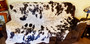 Tri Colored Speckled Cowhide 5