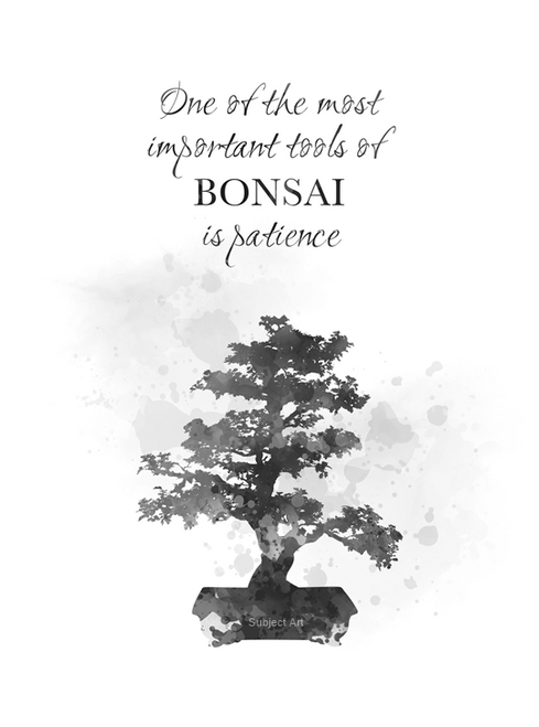 Bonsai Tree Quote 