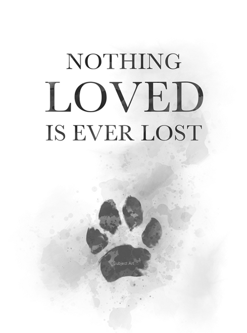 Nothing Loved is ever Lost 