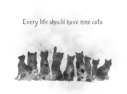 Every life should have nine cats