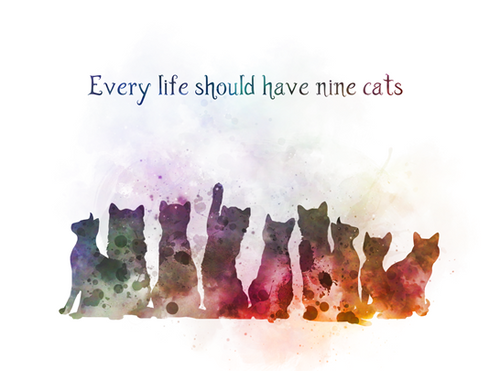 Every life should have nine cats