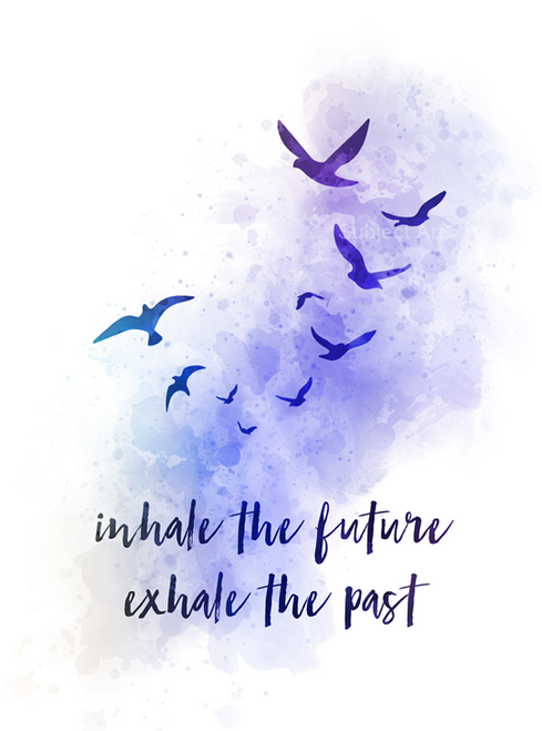 Inhale the Future Exhale the Past Quote