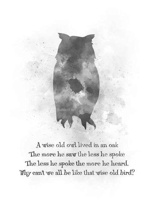 A Wise Old Owl
