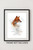 Fantastic Mr Fox Quote Framed