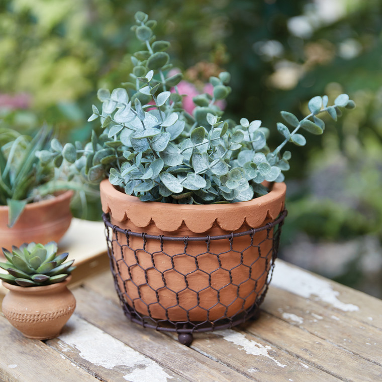 CTW Home Chicken Wire Caddy With Scalloped Terra Cotta Pot 460359