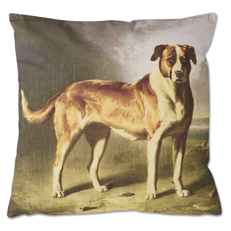 CTW Home St. Bernard Throw Pillow 780325