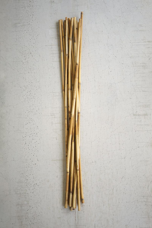 Bundle Of 12 Bamboo Sticks (Pack Of 6) NTRP1060 By Kalalou