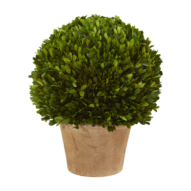 Nearly Natural 15" Boxwood Ball Preserved Plant In Planter 4373