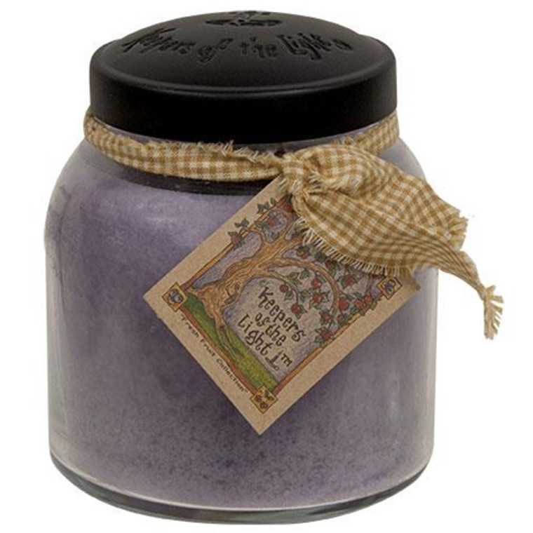 Lilacs In Bloom Papa Jar Candle 34Oz W11080 By CWI Gifts