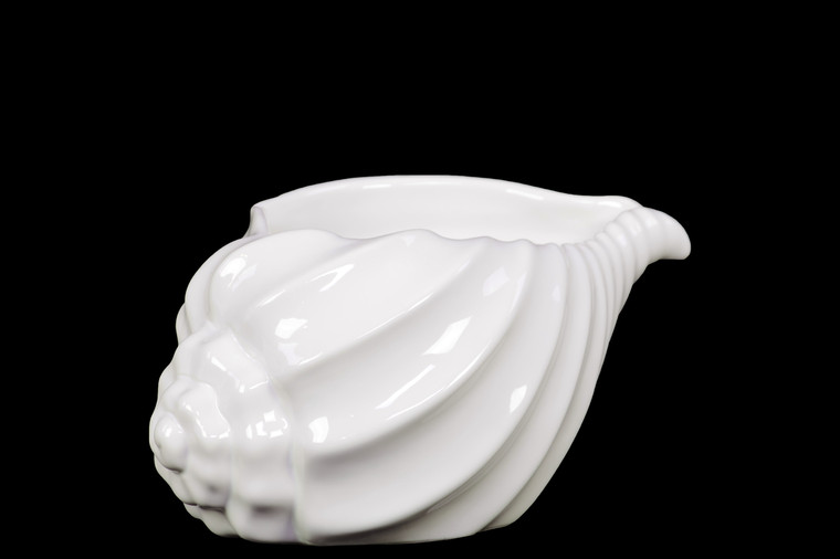 Urban Trends Ceramic Conch Seashell Figurine Sm Gloss Finish White (Pack Of 6) 73100