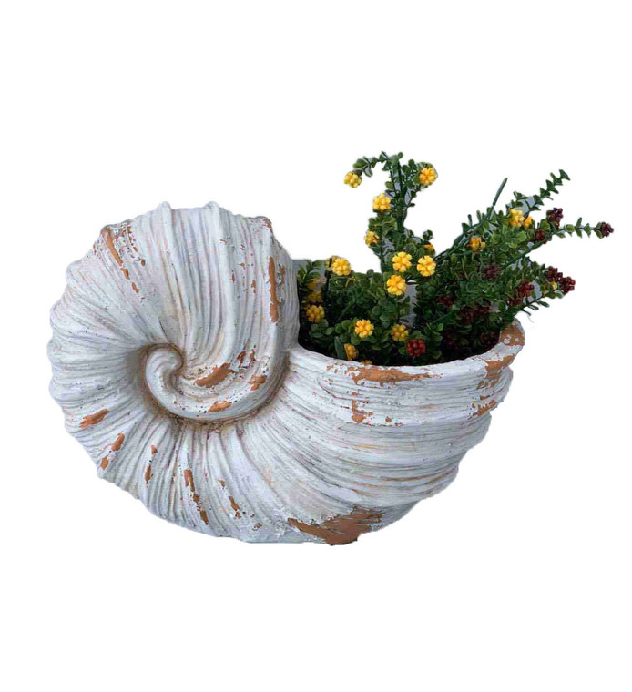 Homeroots 9" Distressed Cream And Terra Cotta Conch Shell Planter 473199
