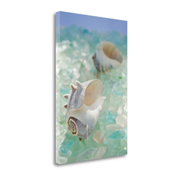 Homeroots 1" Conchshell And Seaglass Giclee Wrap Canvas Wall Art 437846