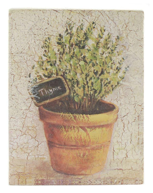 141-70754 Blossom Bucket Thyme Picture - Pack of 7