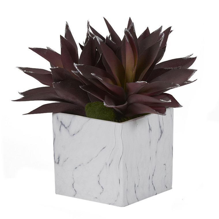 Purple Aloe Plants In White Marbled Ceramic Cube 201009 By DW Silks