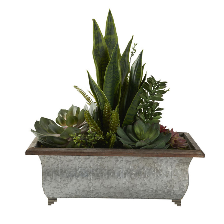 Mother In Law'S Tounge With Jade Plant, Echeveria And Succulents In Rectangle Metal Planter 212088 By DW Silks