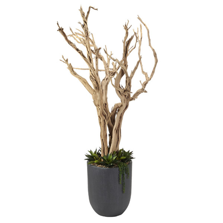 8' Ghostwood With Agave And Cedum In Round Grey Resin Planter 320410 By DW Silks