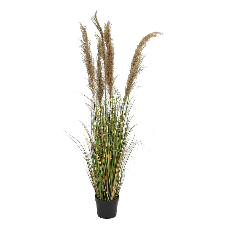 68" Reed Onion Grass TL856 By DW Silks