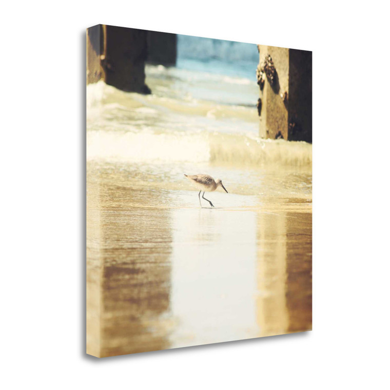 Homeroots 35" Willet Walking Towards The Beach Giclee Wrap Canvas Wall Art 439409