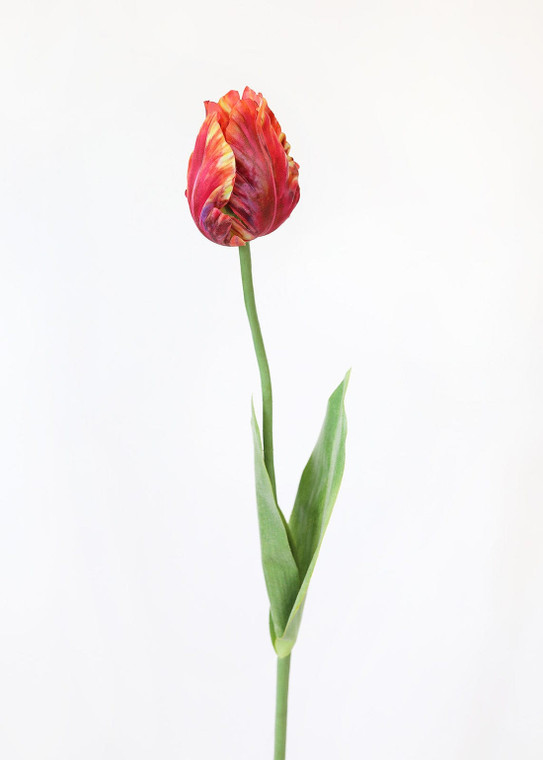 Tie Dye Red Artificial Parrot Tulip - 25" SLK-FST718-RE/OR By Afloral