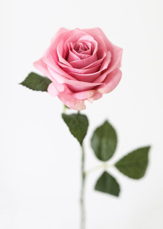 Cottage Pink Fake Rose - 21.5" SLK-ZSR729-PK By Afloral