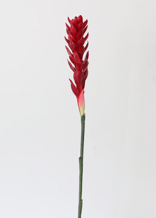 Red Faux Hawaiian Ginger Flower - 30" SLK-JYG153-RE By Afloral