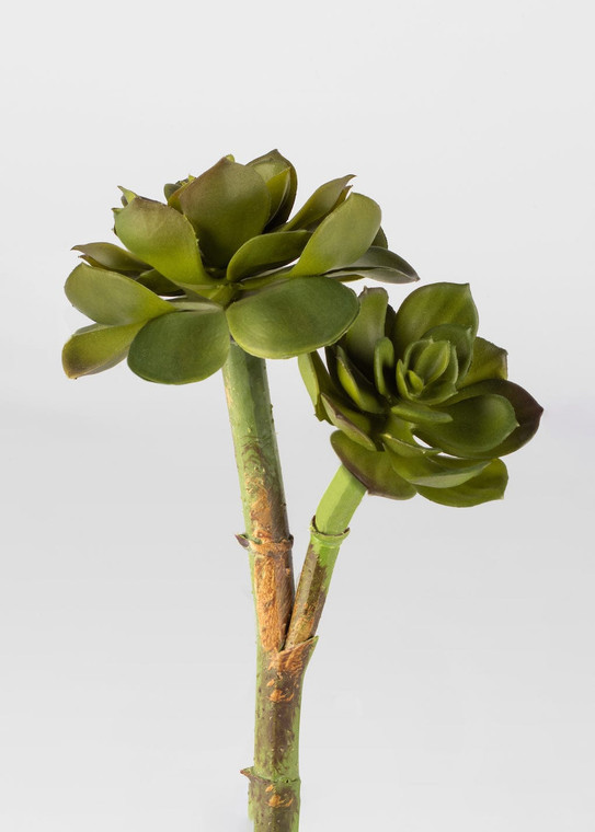 Artificial Succulents Jade Pick - 9.5" WIN-32130-GR By Afloral