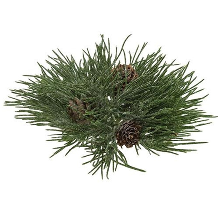 Mugo Pine Orb FXD261930RB By CWI Gifts