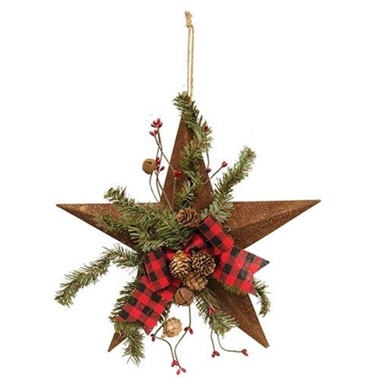 *Rusty Metal Woodland Pine Star W/Ribbon GRJA4249 By CWI Gifts