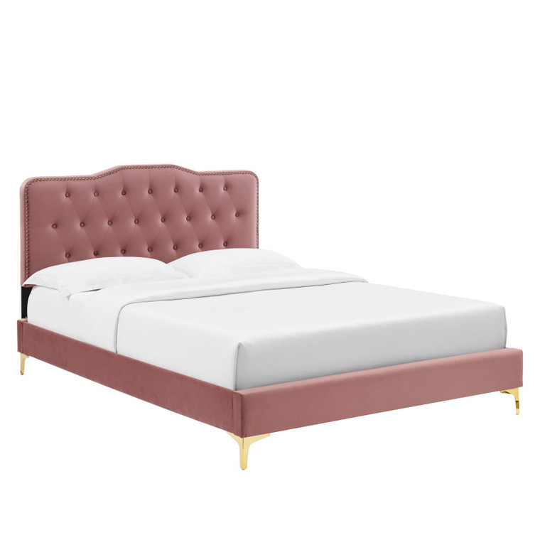 Amber Performance Velvet Queen Platform Bed - Dusty Rose MOD-6775-DUS By Modway Furniture