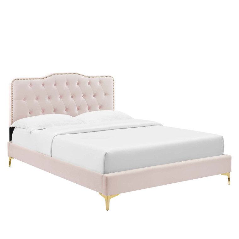Amber Performance Velvet Queen Platform Bed - Pink MOD-6775-PNK By Modway Furniture