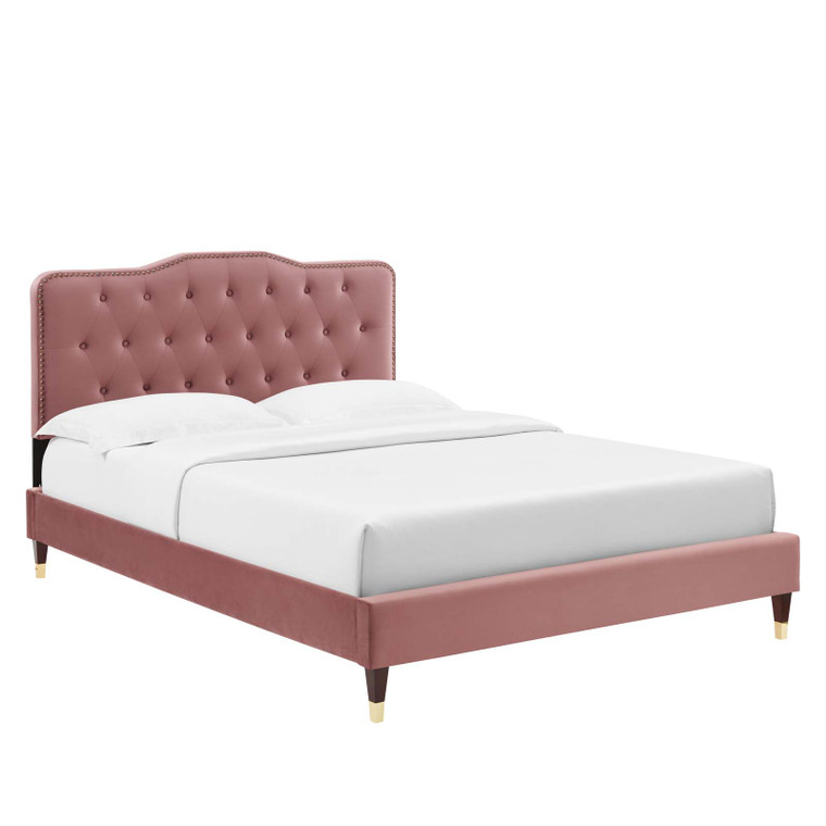 Amber Performance Velvet Queen Platform Bed - Dusty MOD-6776-DUS By Modway Furniture